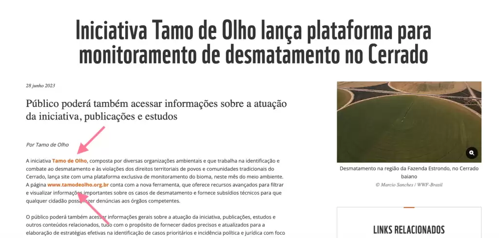 No caso acima, o site do WWF linka para a iniciativa Tamo de Olho na página de um artigo.